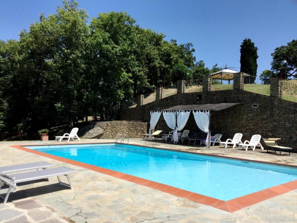 Agriturismo Badia Ficarolo Palazzo del Pero エクステリア 写真