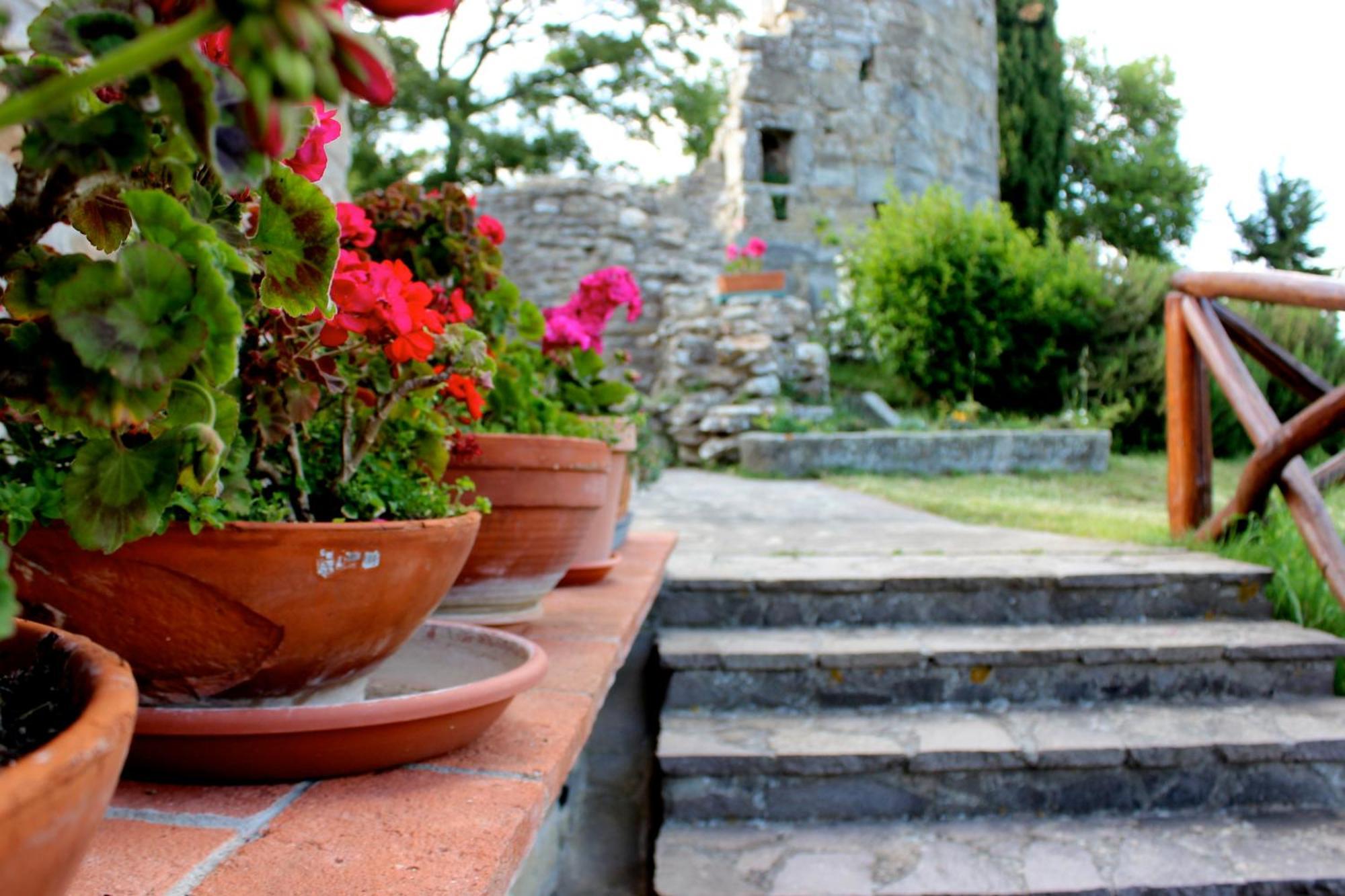 Agriturismo Badia Ficarolo Palazzo del Pero エクステリア 写真